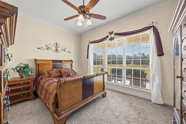 a bedroom with a bed and a large window