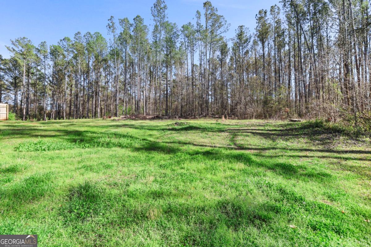 178 Sims Road Hogansville, GA 30230 - Photo 15 of 16