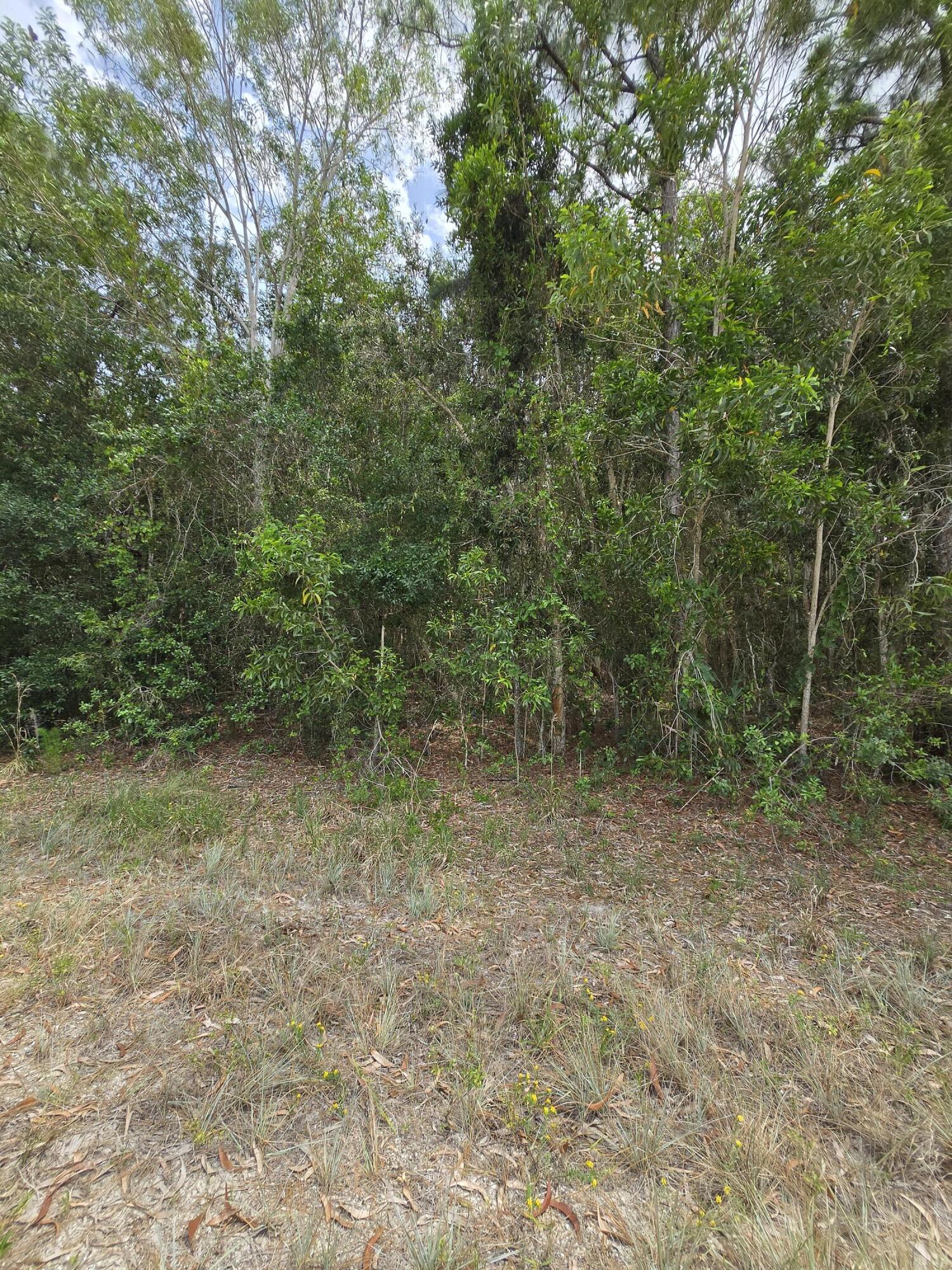 42 42nd Road North Loxahatchee, FL 33470 - Photo 8 of 11 20260511_144846