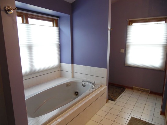 10215 East Hickory Ridge Drive Rochelle, IL 61068 - Photo 10 of 16 a bathroom with a bathtub and a shower