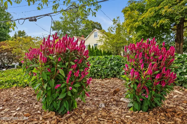 $1,165,000 | 8 Reynolds Place, Greenwich, CT 06831