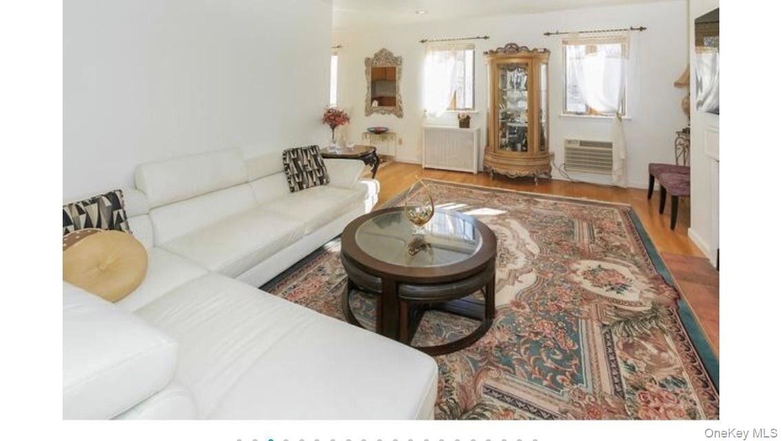 215 Middle Neck Road, Unit 153B Great Neck, NY 11021 - Photo 3 of 10