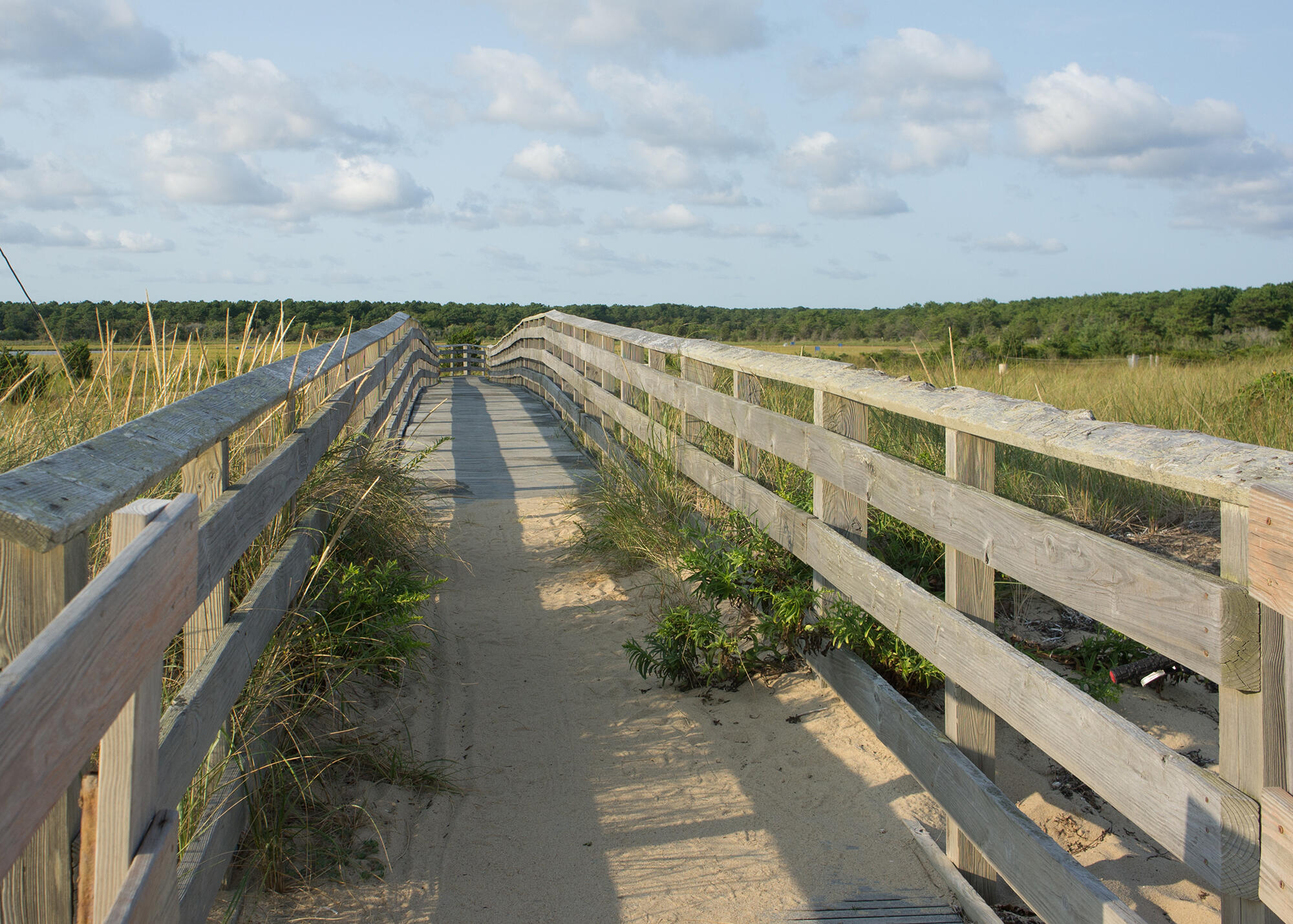 110 Degrass Road Mashpee, MA 02649 - Photo 44 of 46 South Cape Beach Wetlands
