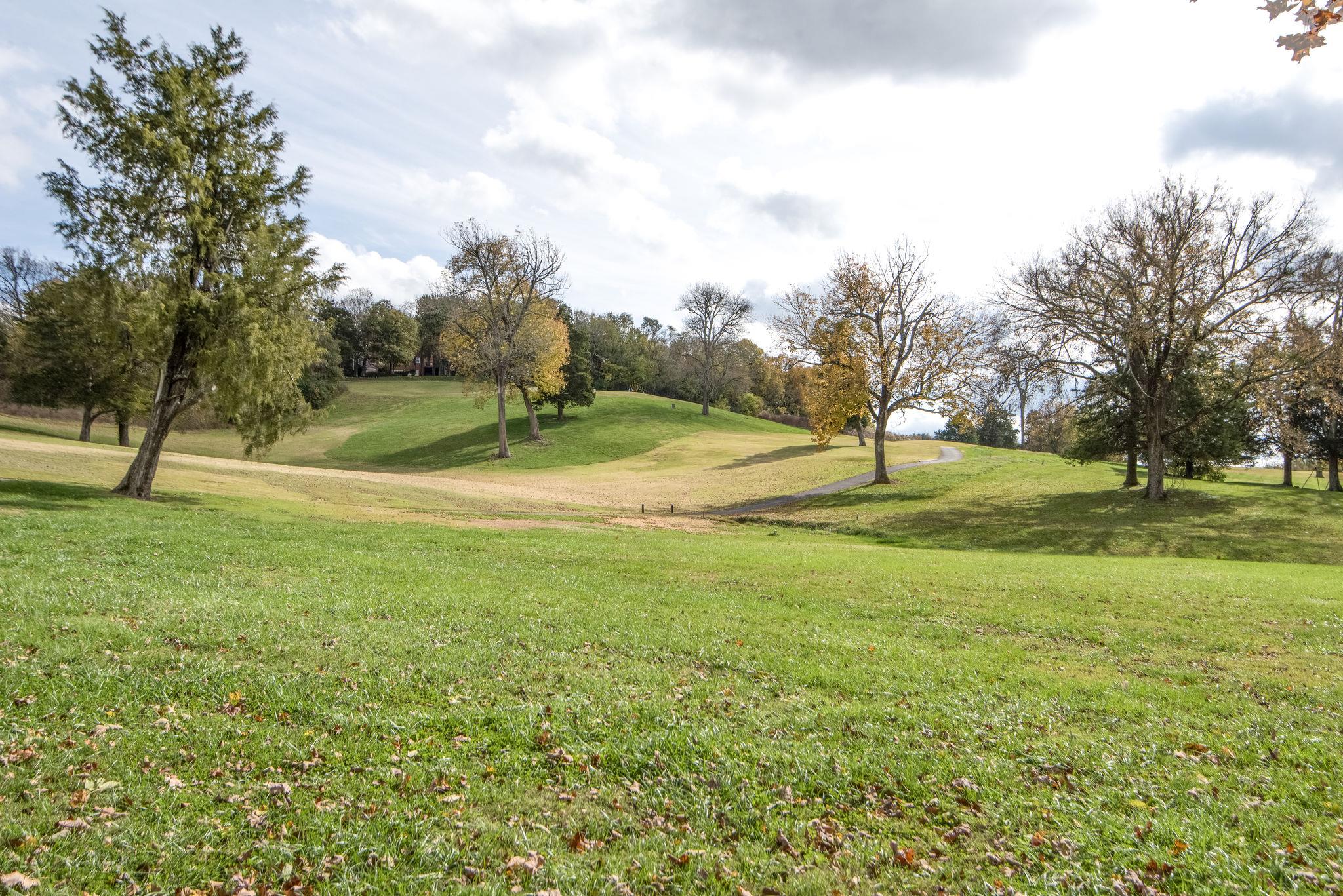 this is your view, folks!