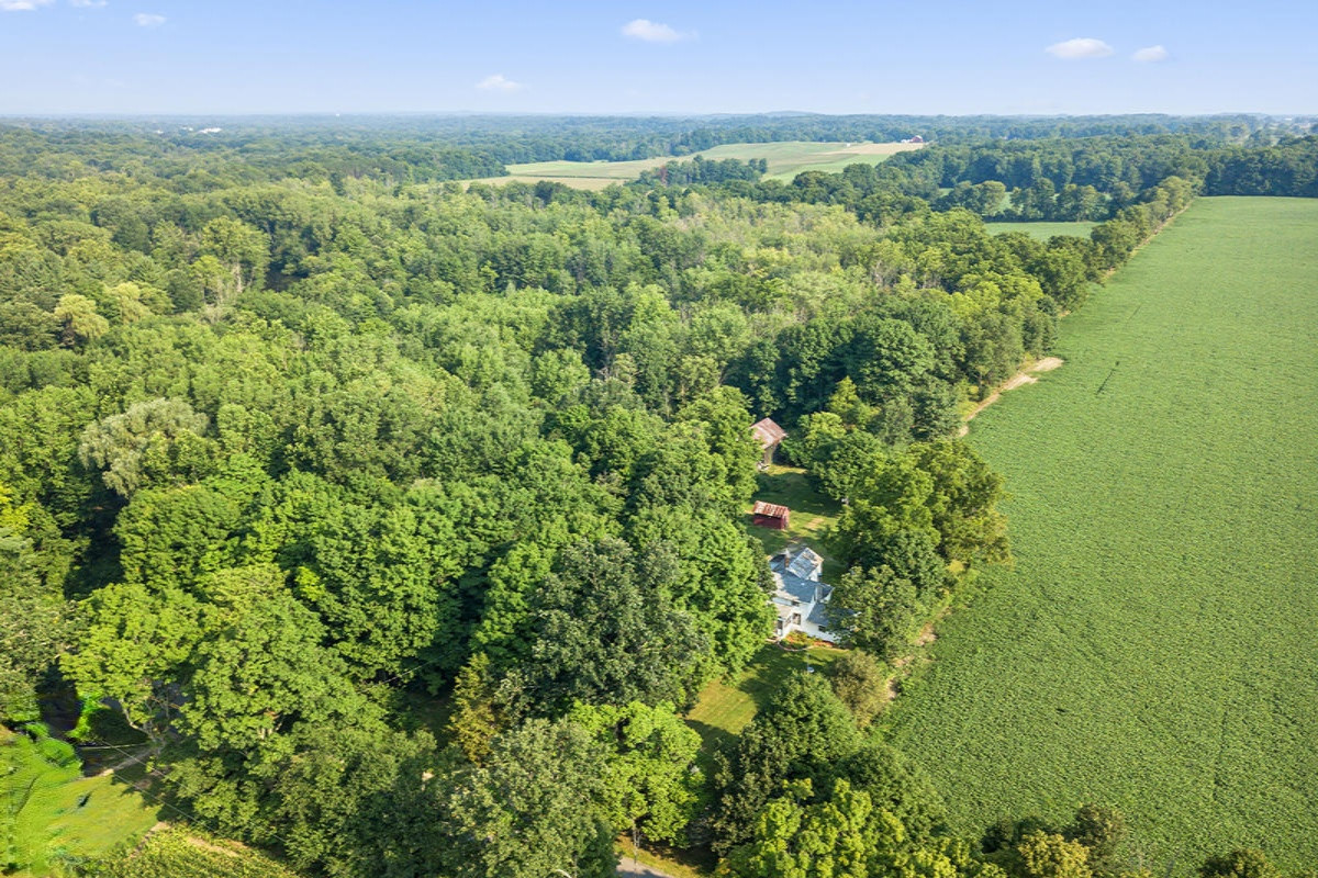 2399 River Road Hastings, MI 49058 - Photo 3 of 40 3