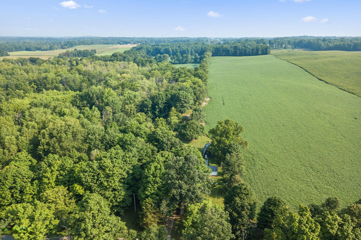 2399 River Road Hastings, MI 49058 - Photo 4 of 40 4