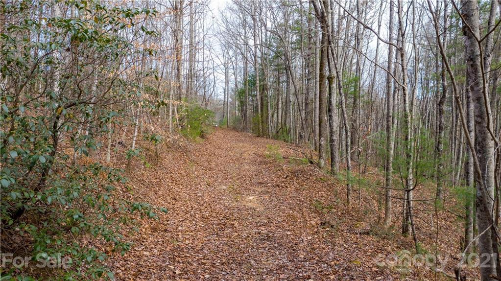 0 Slick Rock Road Hendersonville, NC 28792 - Photo 17 of 41 a view of forest