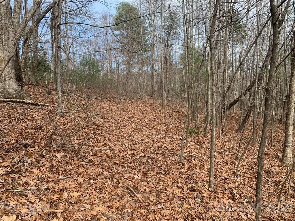 0 Slick Rock Road Hendersonville, NC 28792 - Photo 21 of 41 a view of a lake view