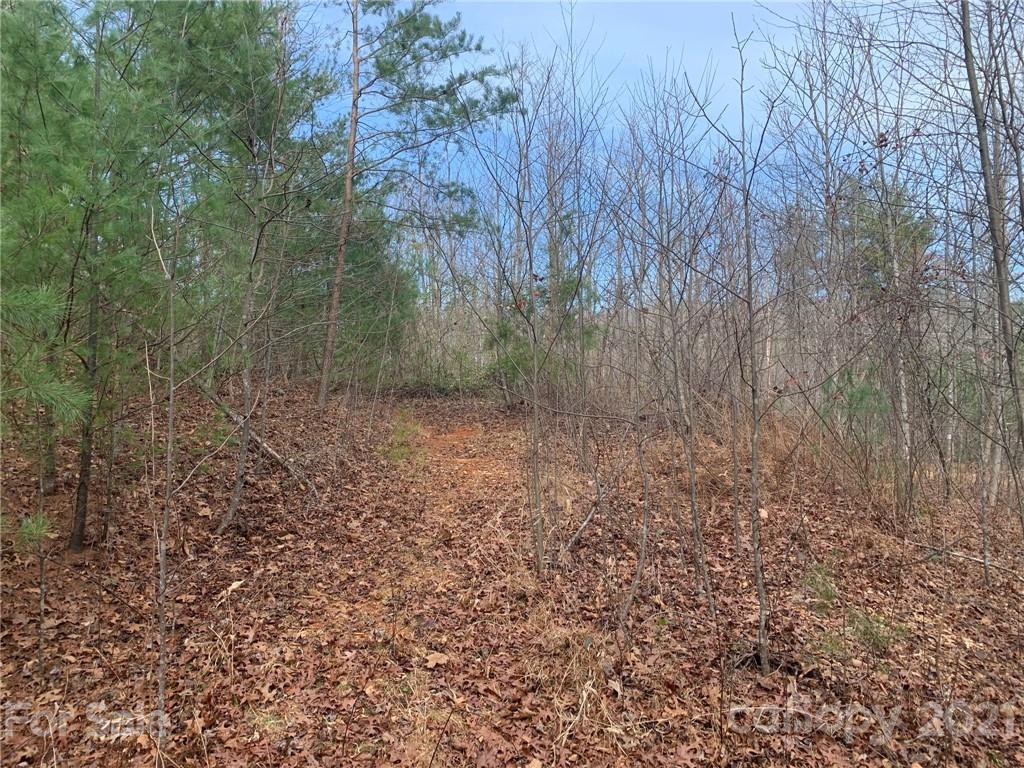 0 Slick Rock Road Hendersonville, NC 28792 - Photo 22 of 41 a view of a dry yard with trees