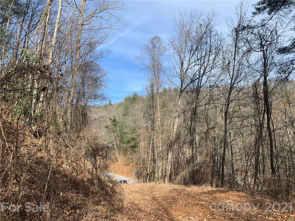 0 Slick Rock Road Hendersonville, NC 28792 - Photo 23 of 41 a view of a yard with trees