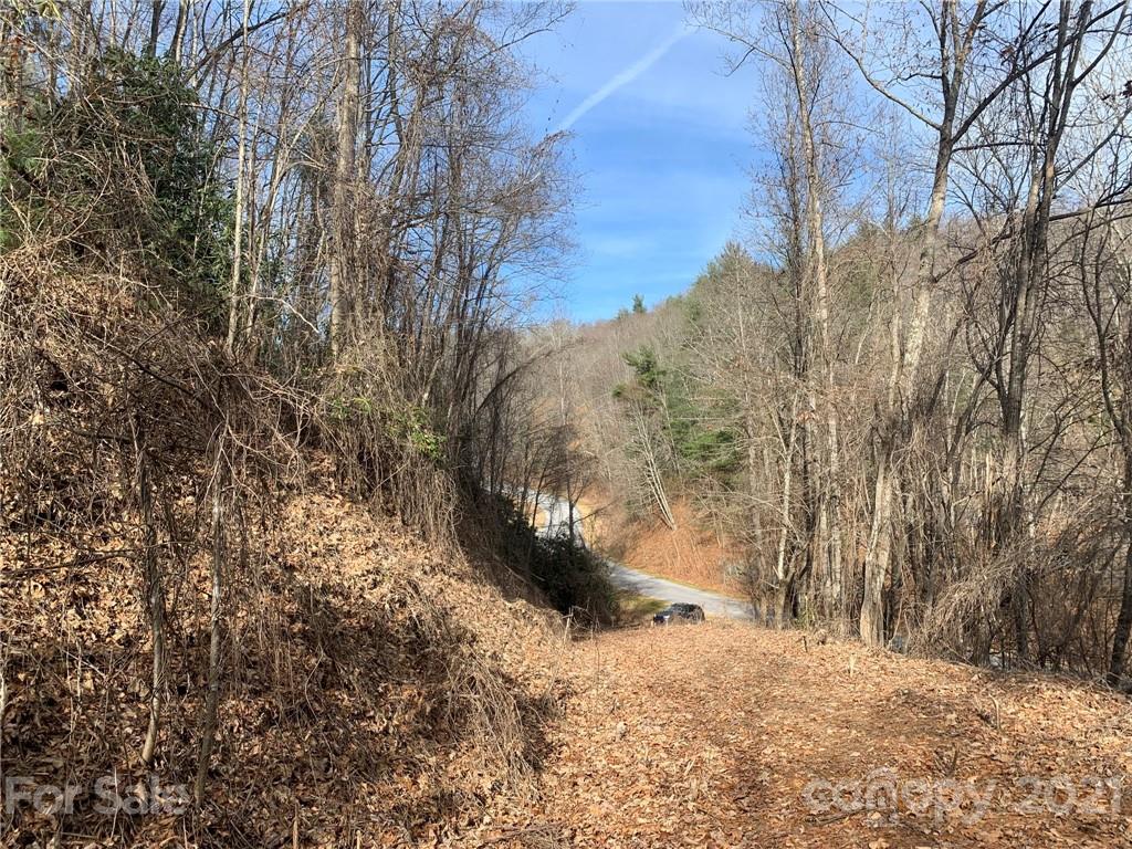 0 Slick Rock Road Hendersonville, NC 28792 - Photo 24 of 41 a view of outdoor space and trees