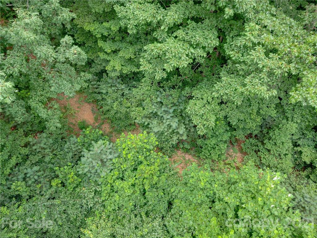 0 Slick Rock Road Hendersonville, NC 28792 - Photo 26 of 41 an aerial view of residential house with outdoor space and trees all around