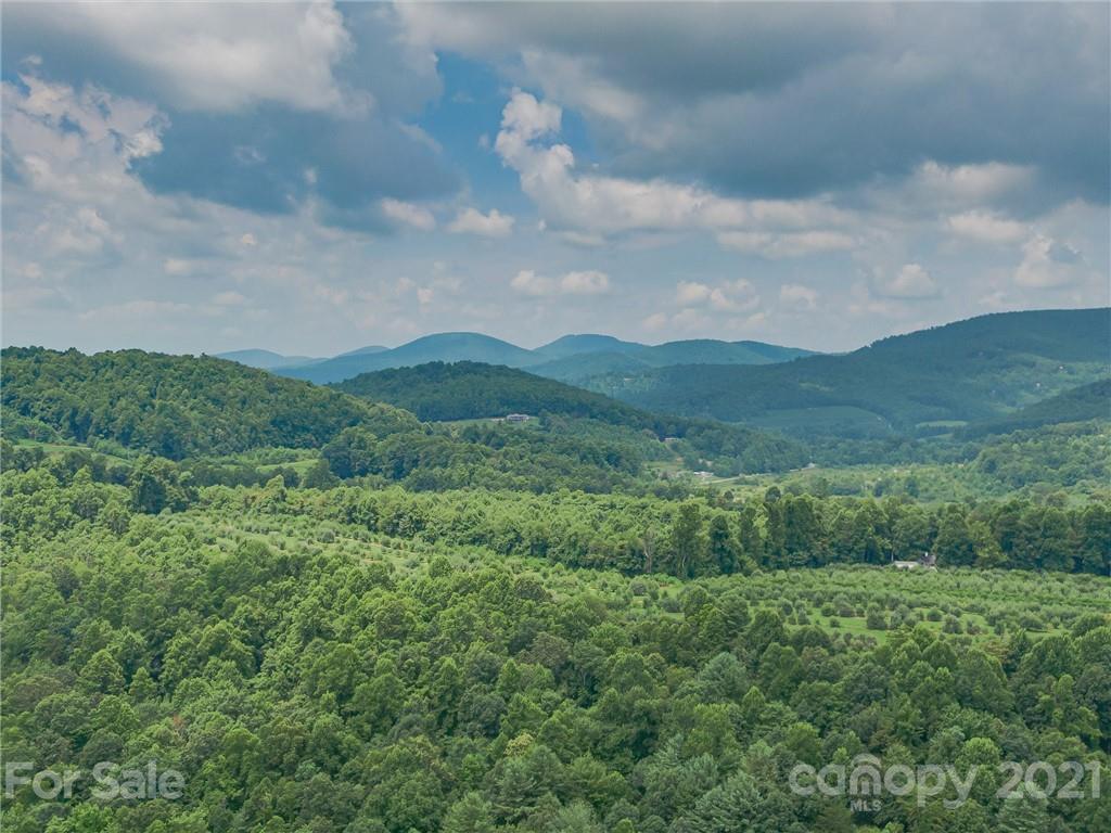 0 Slick Rock Road Hendersonville, NC 28792 - Photo 31 of 41 a view of a lush green mountain