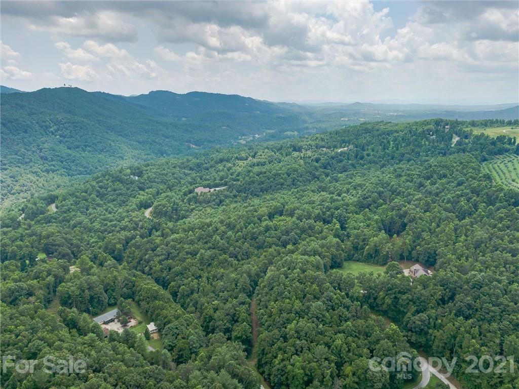 0 Slick Rock Road Hendersonville, NC 28792 - Photo 39 of 41 an aerial view of houses covered in trees