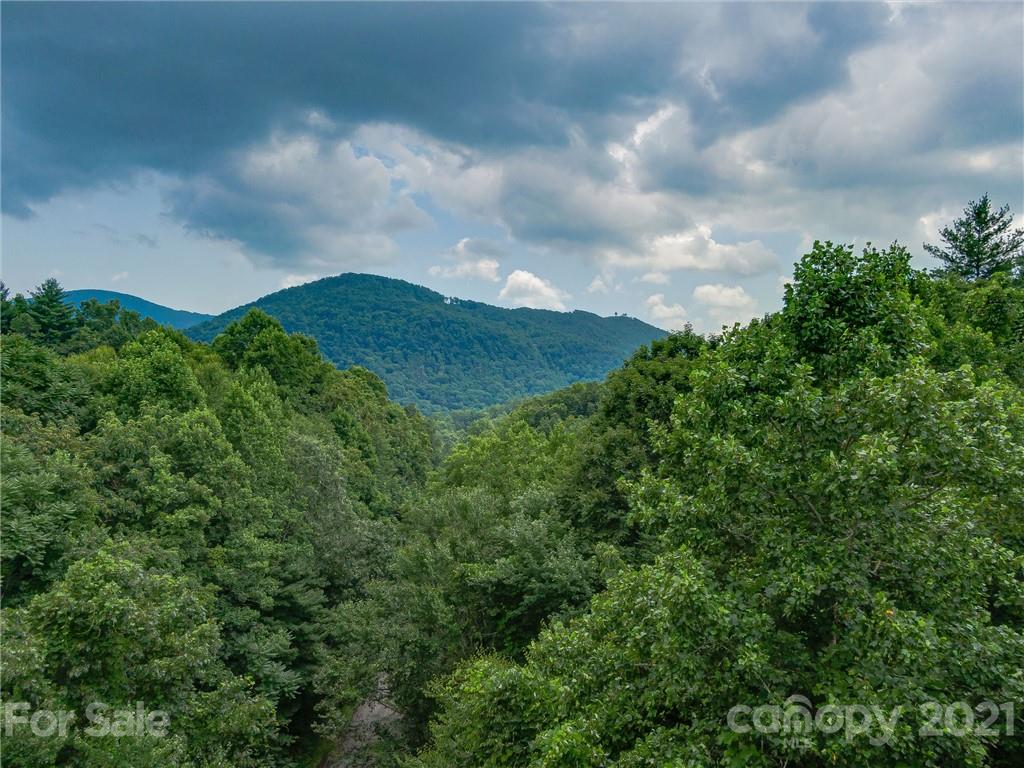 0 Slick Rock Road Hendersonville, NC 28792 - Photo 40 of 41 a view of a large trees with plants and sky view