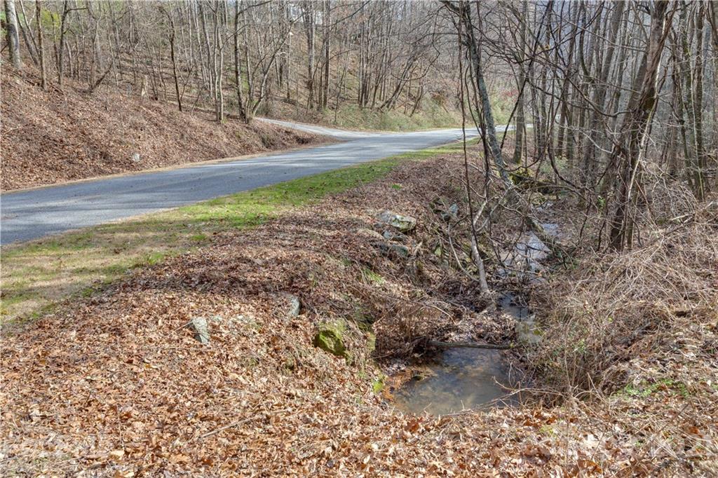 0 Slick Rock Road Hendersonville, NC 28792 - Photo 6 of 41 a view of a yard with large trees