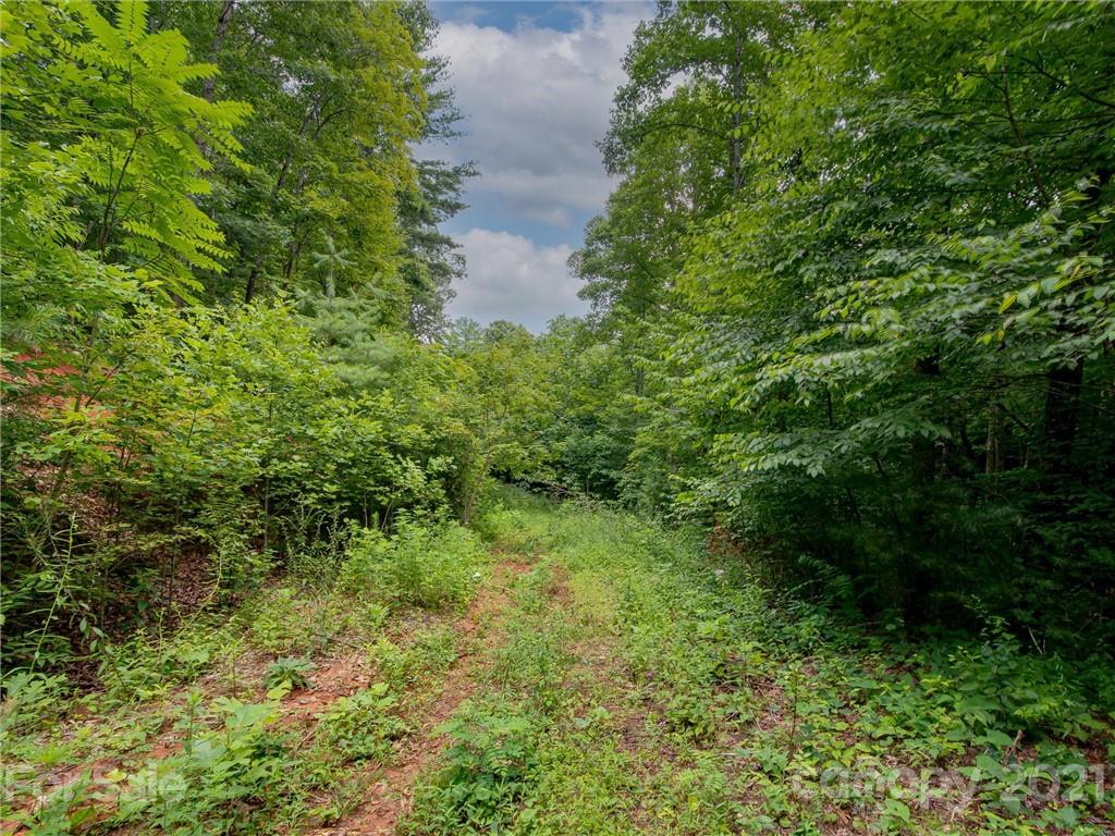 0 Slick Rock Road Hendersonville, NC 28792 - Photo 8 of 41 a view of a garden