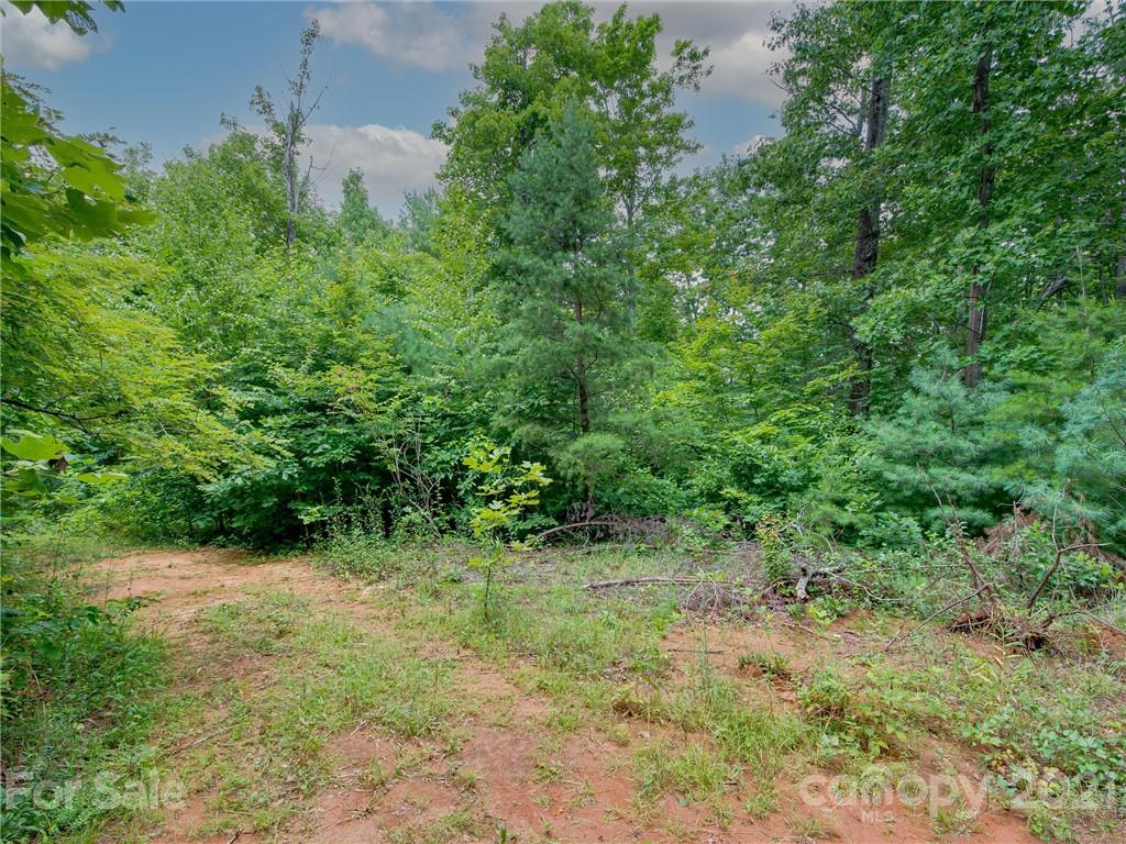 0 Slick Rock Road Hendersonville, NC 28792 - Photo 9 of 41 a view of a lush green forest