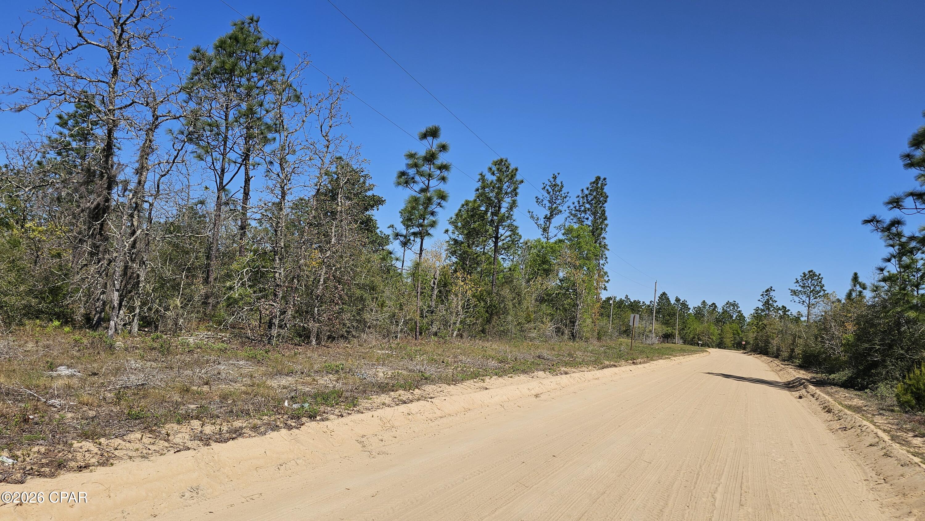 Lot 3 Bolick Road Chipley, FL 32428 - Photo 2 of 6