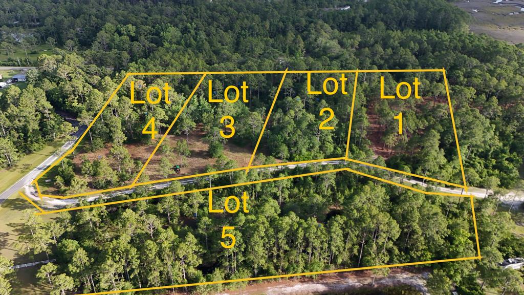 179 Skipper Road Carrabelle, FL 32322 - Photo 1 of 10 Gallery Image 1
