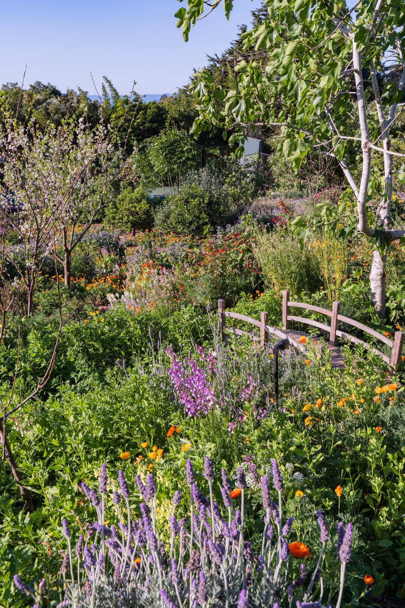 705 Riven Rock Road Montecito, CA 93108 - Photo 17 of 27 Gardens