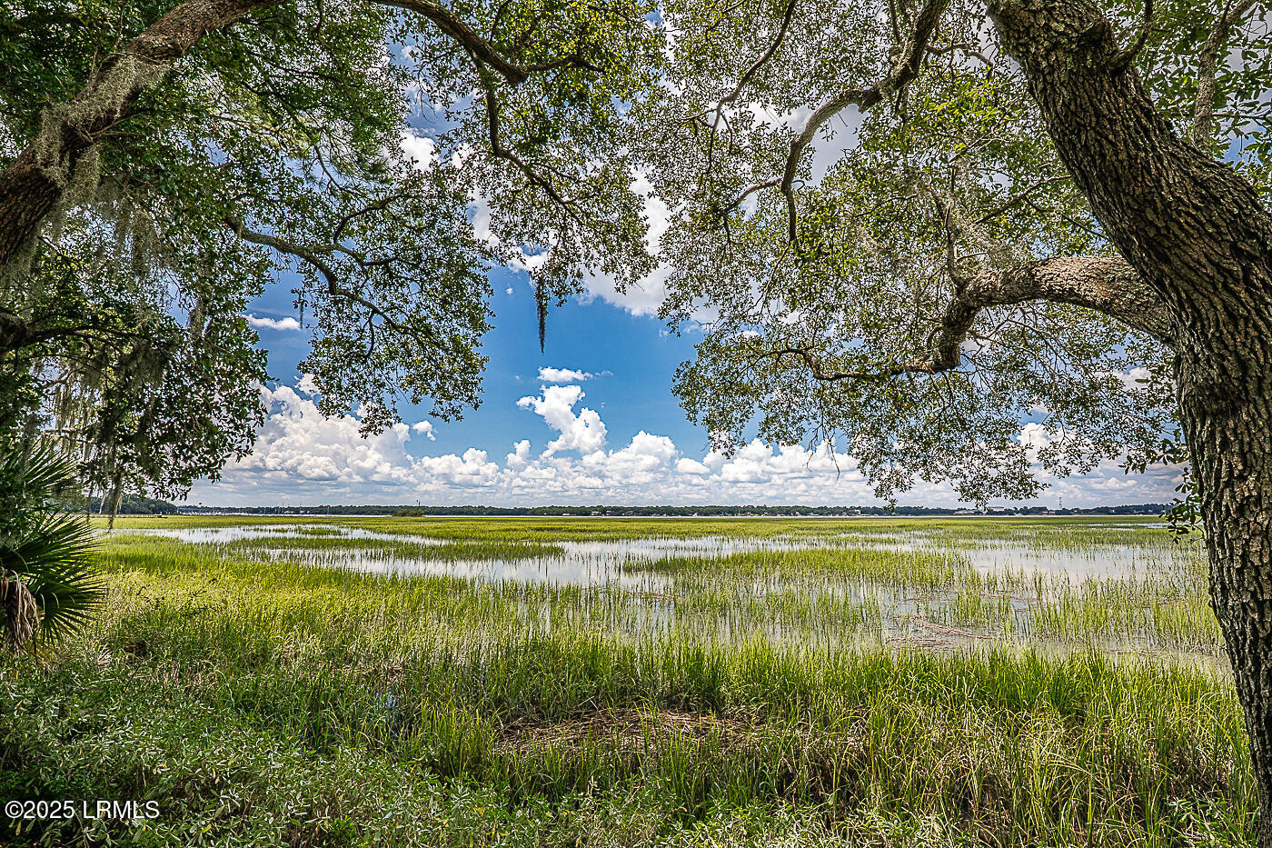 62 Meridian Road Beaufort, SC 29907 - Photo 60 of 76 60 Marsh view