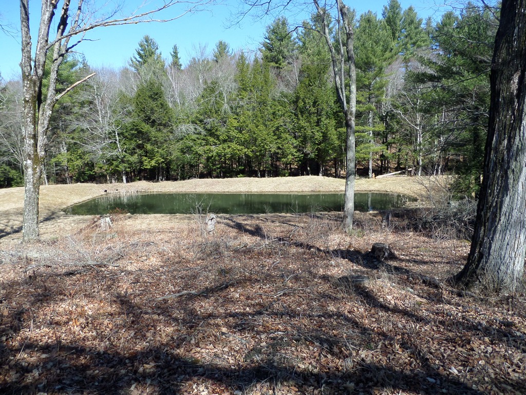 7 Dresser Hill Road Goshen, MA 01096 - Photo 7 of 25 Gallery Image 7