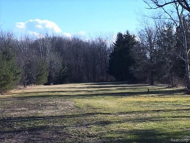 1465 Toben Road Carleton, MI 48117 - Photo 8 of 19