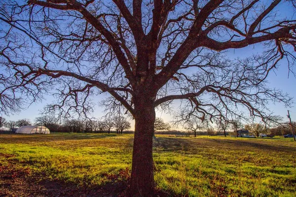 $719,900 | 1300 Rodgers Road, Sunset, TX 76270