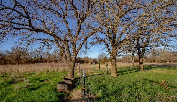 a view of backyard with green space