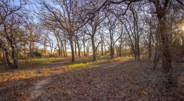a view of dirt yard with large trees