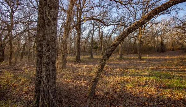$719,900 | 1300 Rodgers Road, Sunset, TX 76270