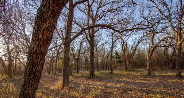 a view of outdoor space with lots of trees