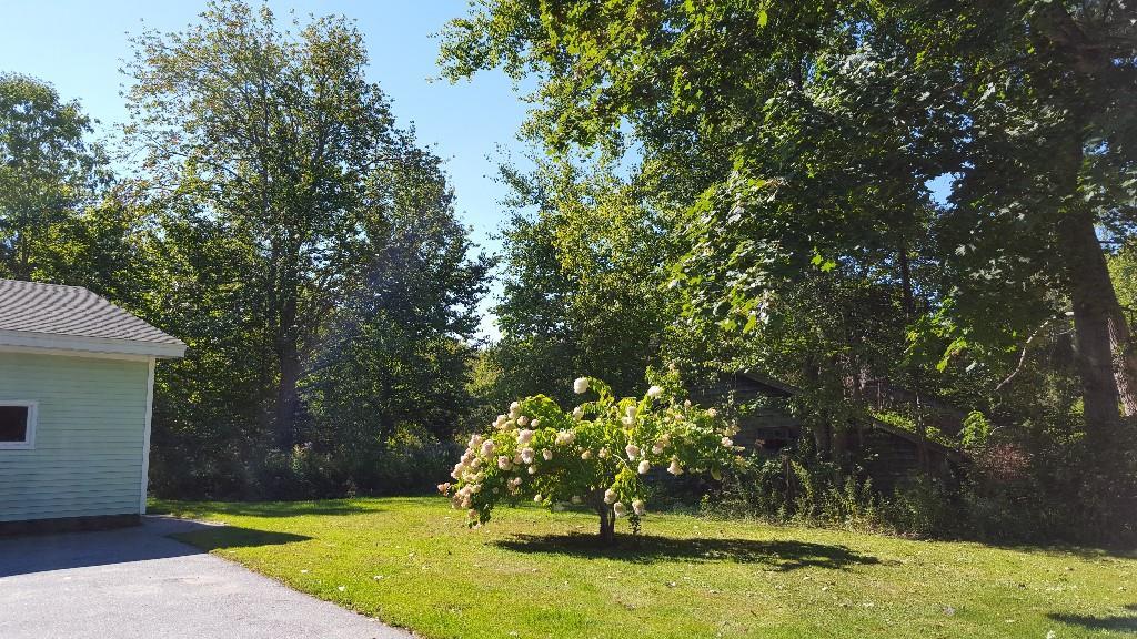 76 Pearl Street Camden, ME 04843 - Photo 26 of 30 Photo