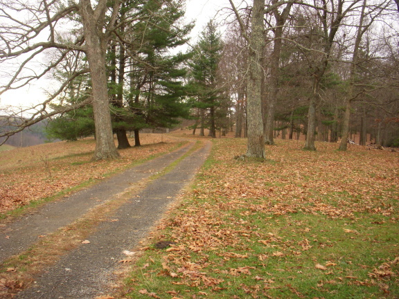 1554 Conner Grove Road Southwest Willis, VA 24380 - Photo 22 of 22 a view of a yard with trees