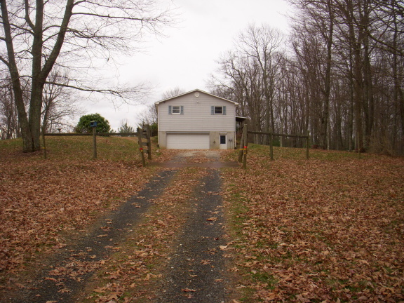 1554 Conner Grove Road Southwest Willis, VA 24380 - Photo 4 of 22 a backyard of a house with lots of green space
