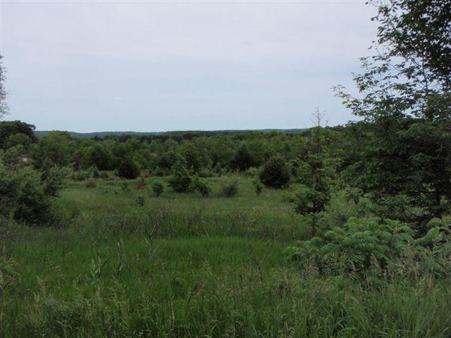 North Marshall Road Beulah, MI 49617 - Photo 3 of 6 Additional Photo