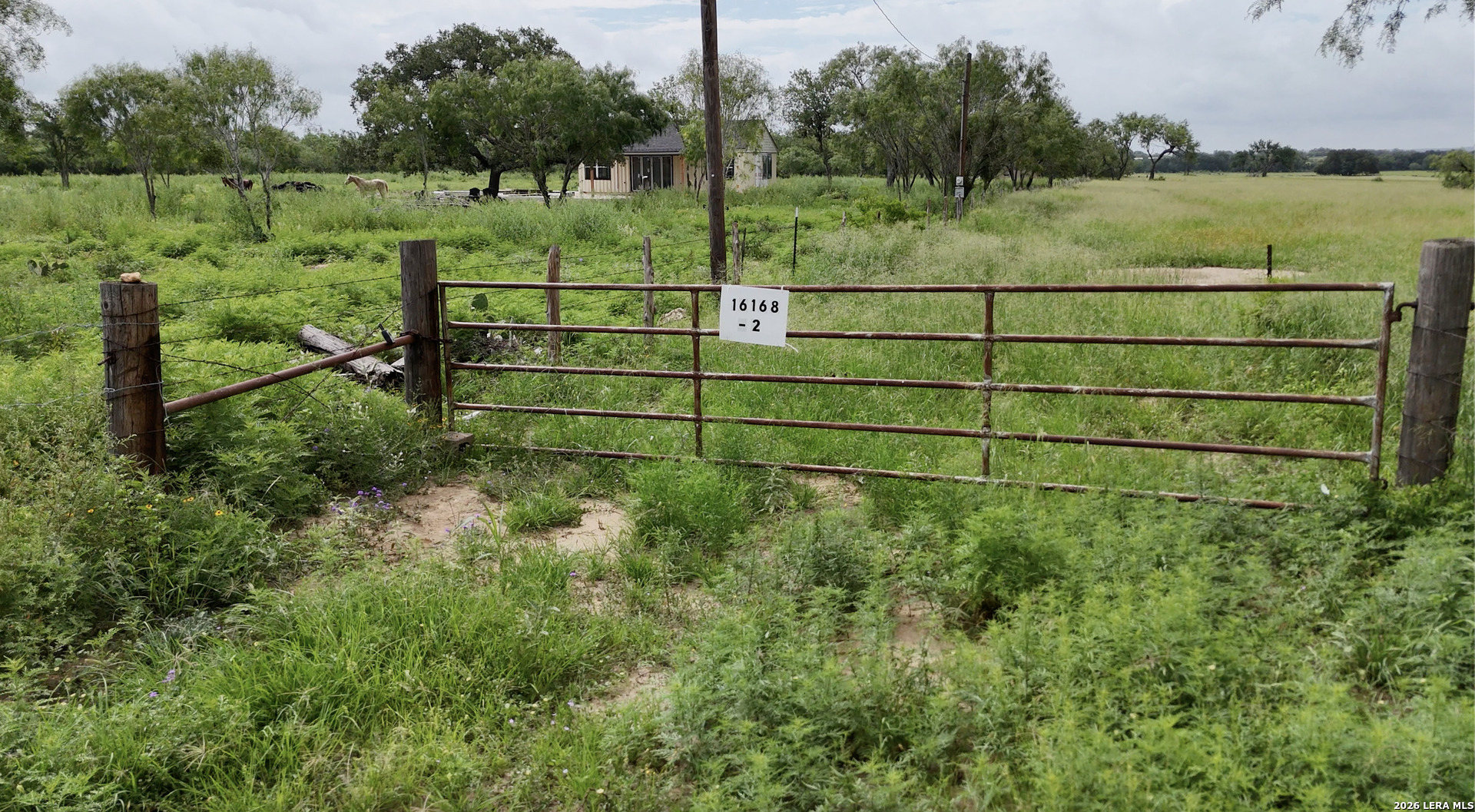 16168 East Gable Road St. Hedwig, TX 78152 - Photo 6 of 8