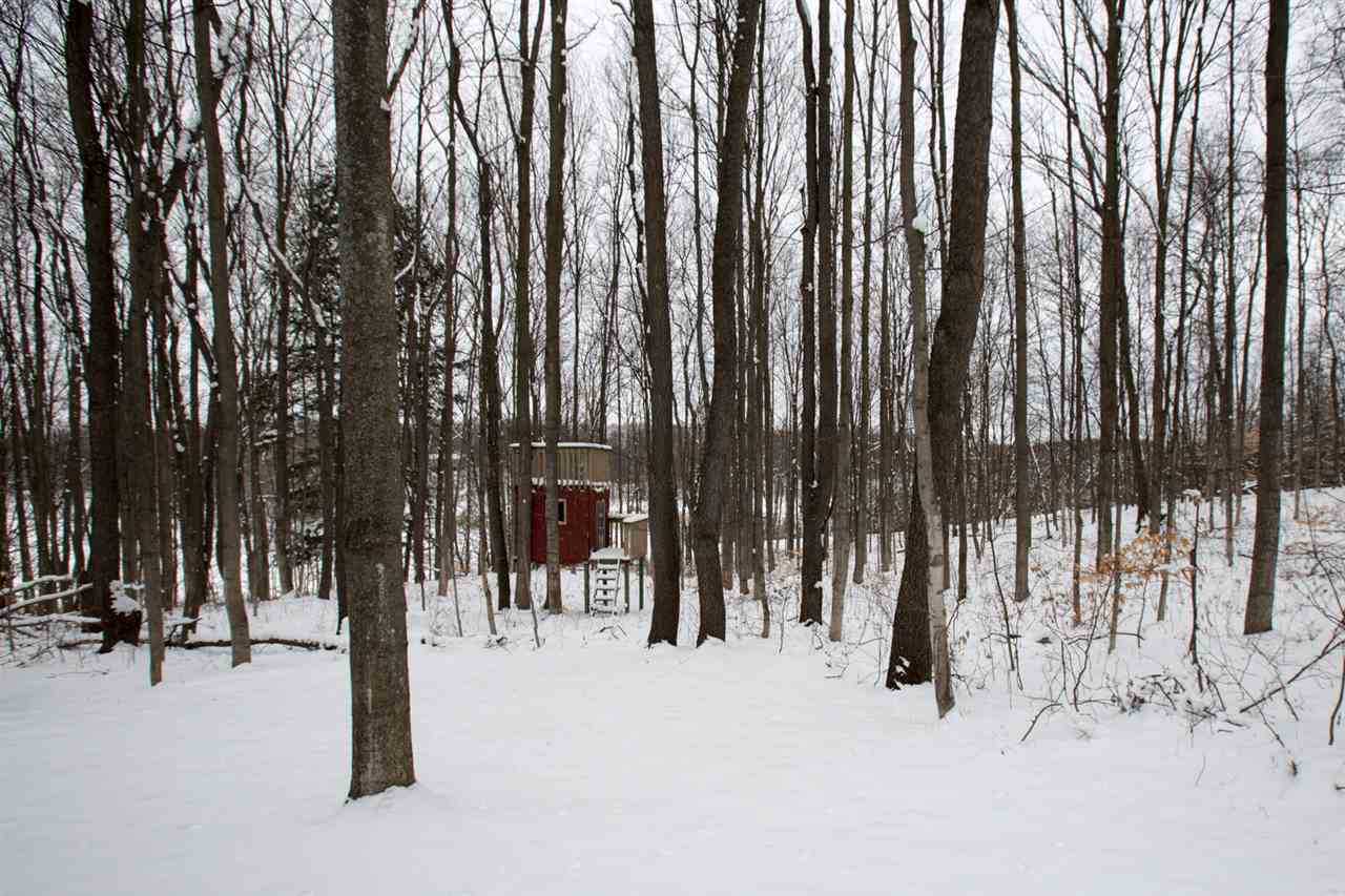 3469 North 25 Road Mesick, MI 49668 - Photo 48 of 53 1843485-47.JPG