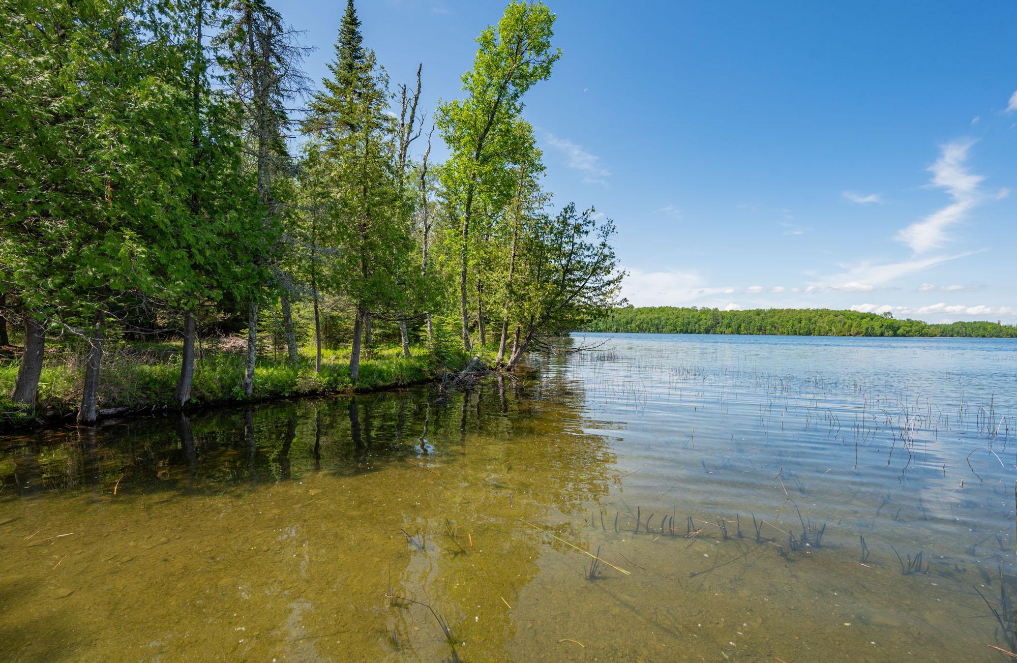 51301 Pine Point Road Bigfork, MN 56628 - Photo 45 of 76