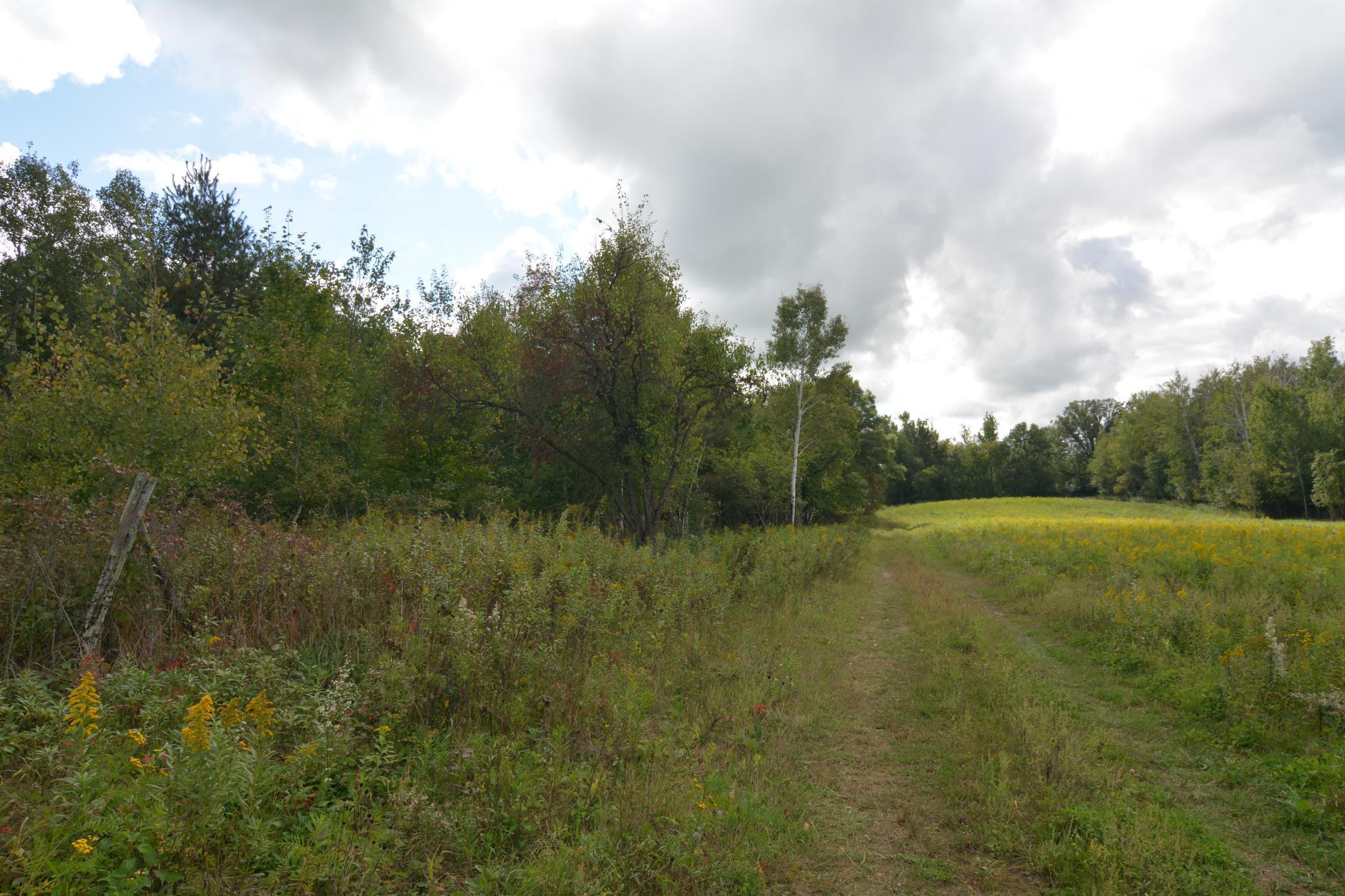 Tbd 130th Avenue Milaca, MN 56353 - Photo 11 of 14