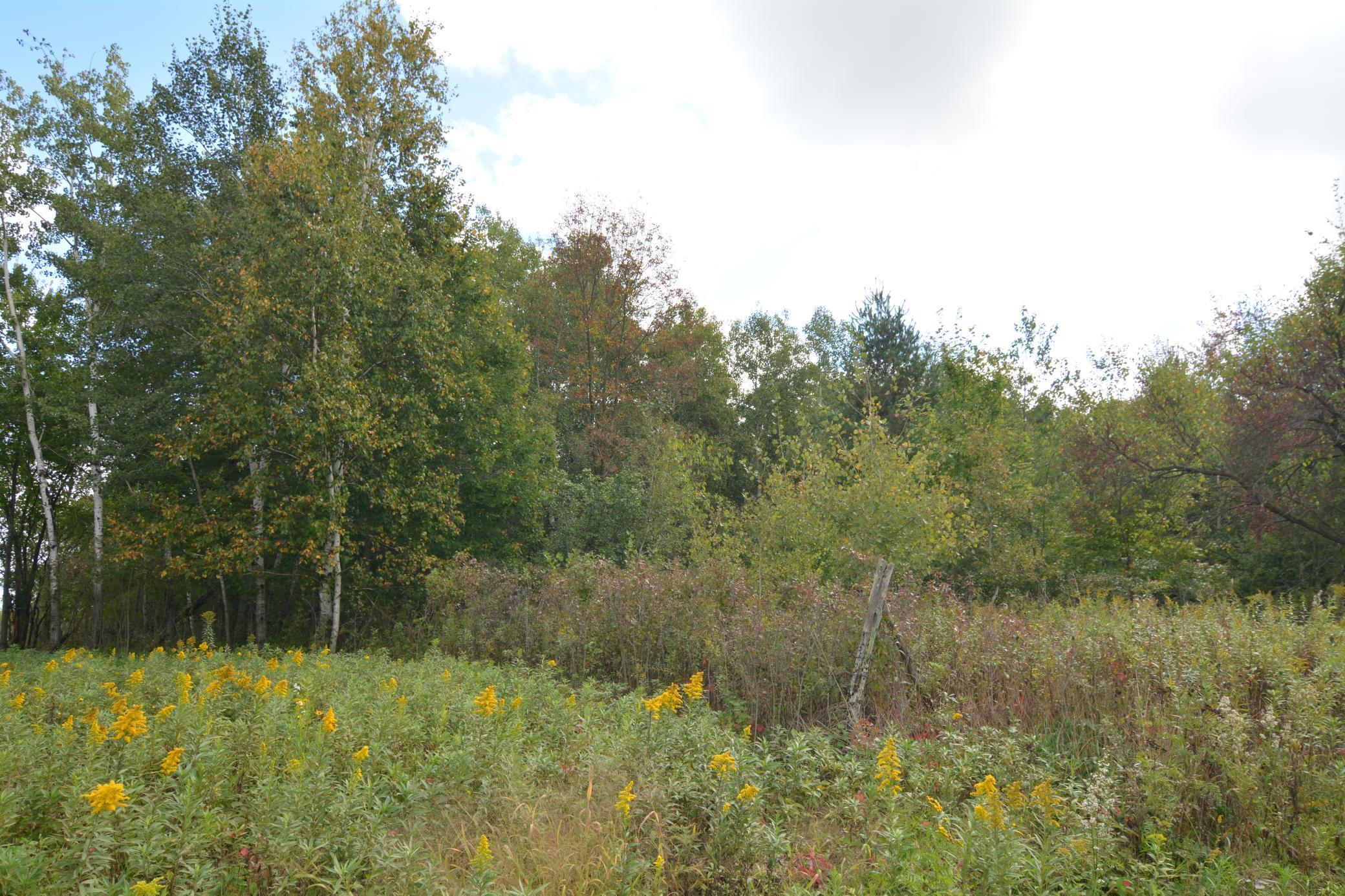 Tbd 130th Avenue Milaca, MN 56353 - Photo 12 of 14