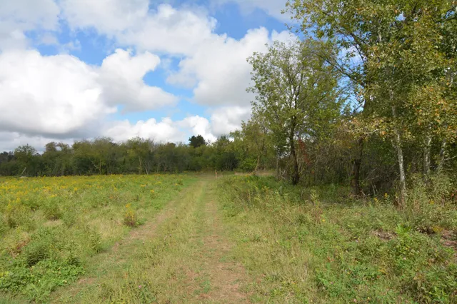 $109,900 | Tbd 130th Avenue, Milaca, MN 56353