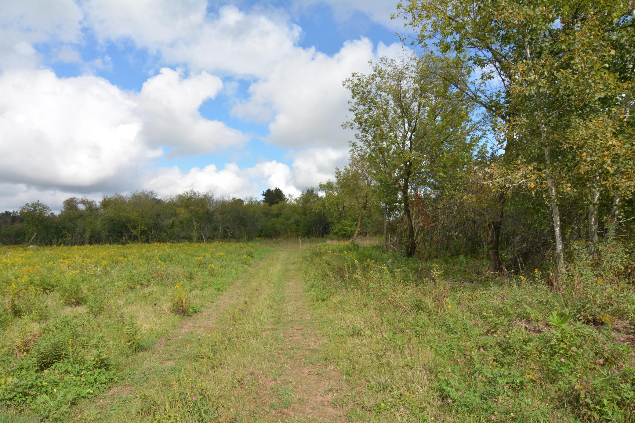Tbd 130th Avenue Milaca, MN 56353 - Photo 13 of 14