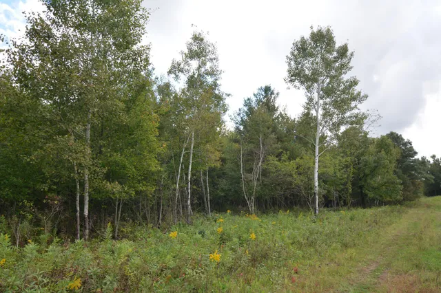 $109,900 | Tbd 130th Avenue, Milaca, MN 56353