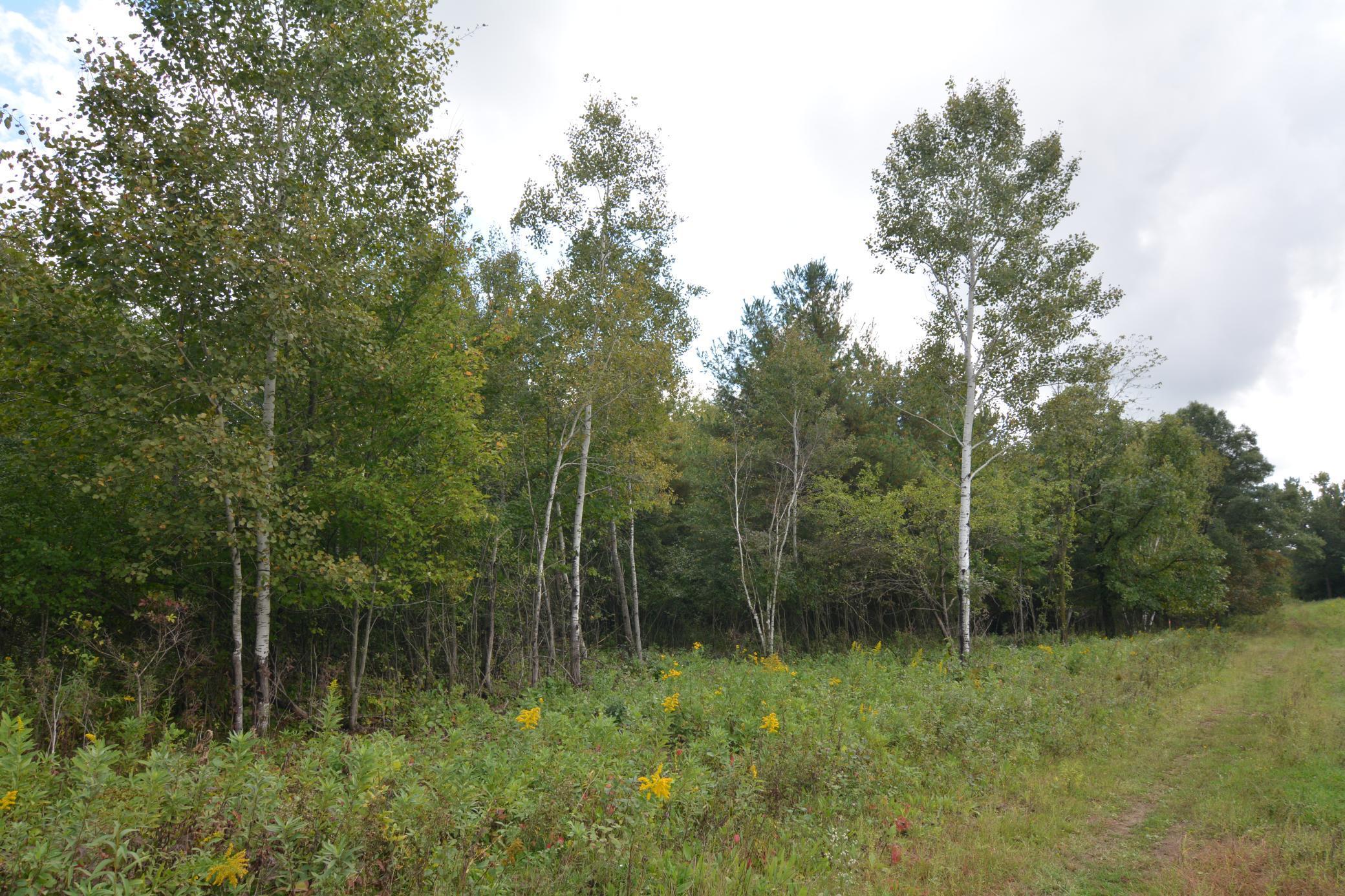 Tbd 130th Avenue Milaca, MN 56353 - Photo 14 of 14