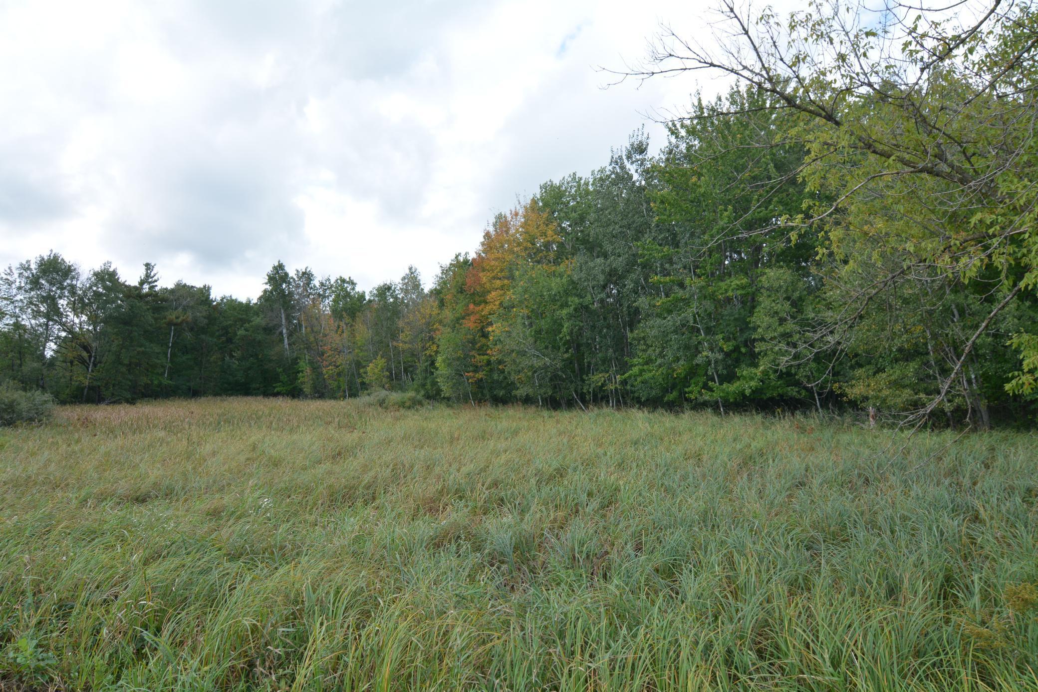 Tbd 130th Avenue Milaca, MN 56353 - Photo 3 of 14