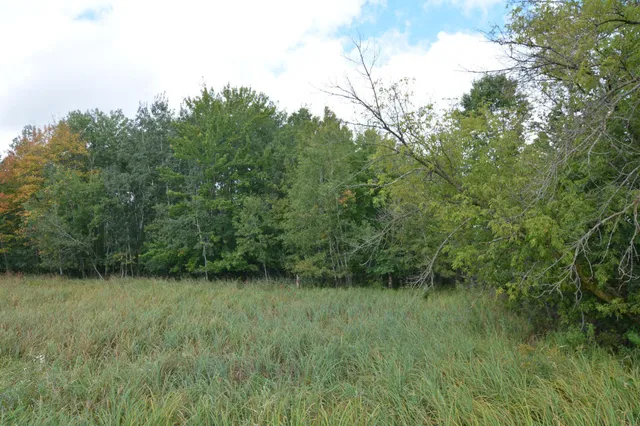 $109,900 | Tbd 130th Avenue, Milaca, MN 56353