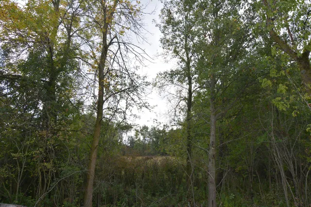 $109,900 | Tbd 130th Avenue, Milaca, MN 56353