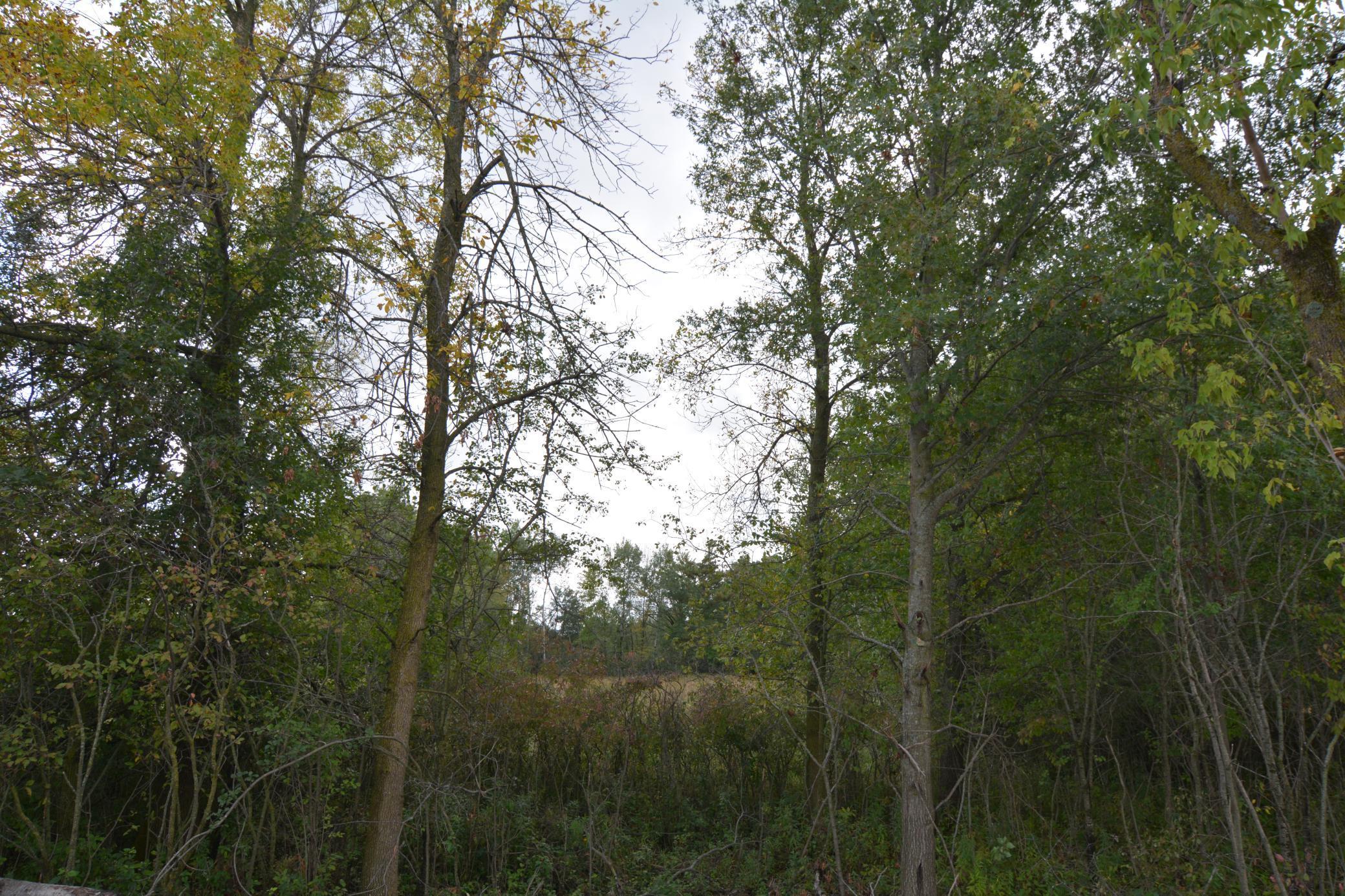 Tbd 130th Avenue Milaca, MN 56353 - Photo 6 of 14